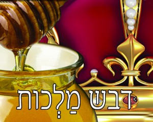 חב"ד
