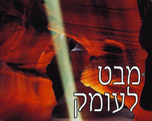 חב"ד