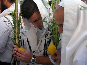 חב"ד 