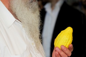 חב"ד 