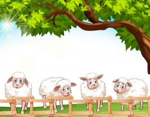 חב"ד 